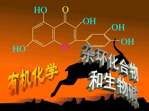 11第十章  杂环化合物和生物碱1