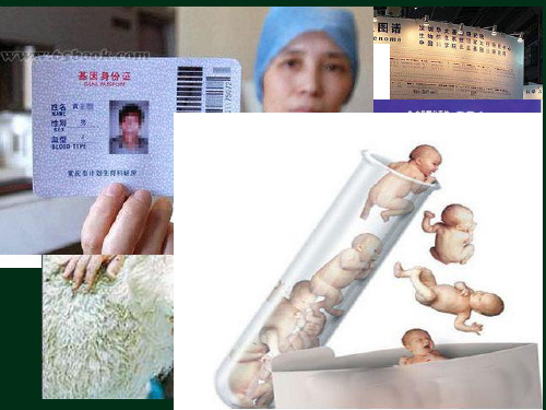 关注生物技术的伦理问题