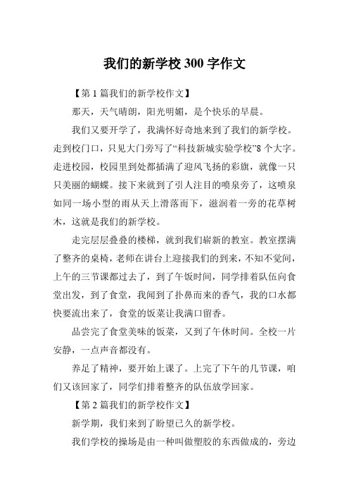 我们的新学校300字作文
