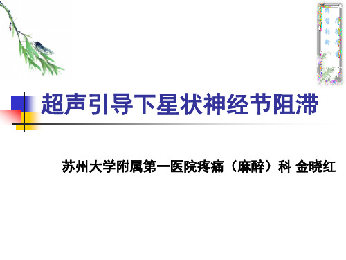 超声引导下星状神经节阻滞_看图王