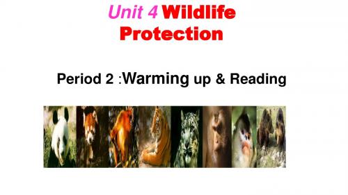 人教版高中英语Book2 Unit 4 Wildlife Protection warming up and reading 公开课教学课件 (共29张PPT)