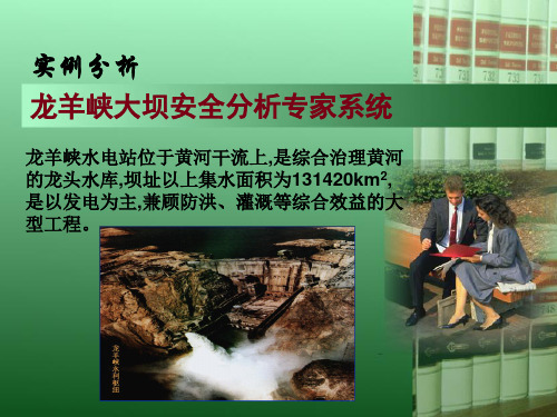 9-实例-龙羊峡
