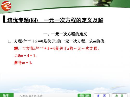 全效学习七上数学培优专题一元一次方程的定义及解