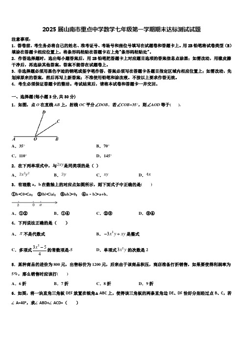 2025届山南市重点中学数学七年级第一学期期末达标测试试题含解析