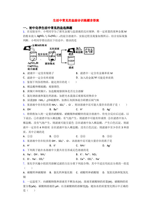 生活中常见的盐综合训练题含答案