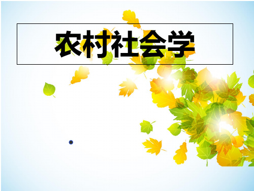 农村社会学第一章PPT课件
