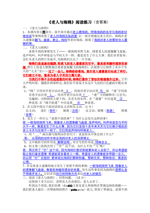 《老人与海鸥》阅读及答案-(完整版)