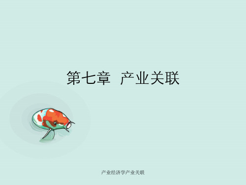 产业经济学产业关联