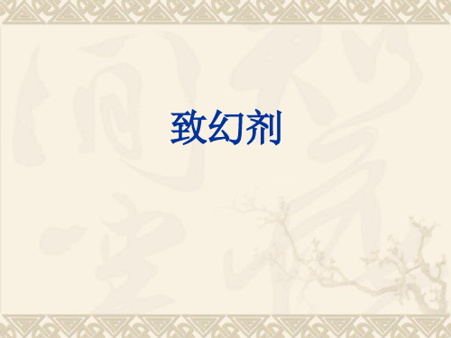 毒品-5(致幻剂)