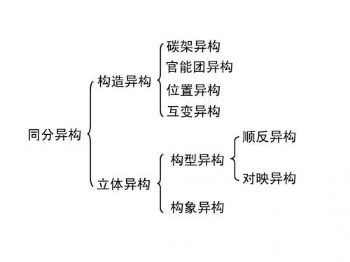 暑假化学竞赛有机化学(3)-对映异构