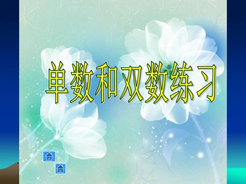 沪教版数学一年级下册1.2《玩拼图》(单数和双数)练习课件