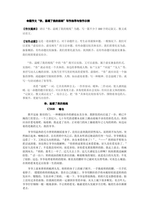 命题作文“你,温暖了我的视线”写作指导与佳作示例
