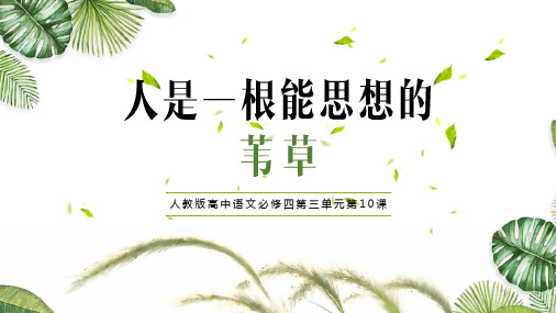 人是一根能思想的苇草