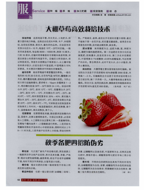大棚草莓高效栽培技术