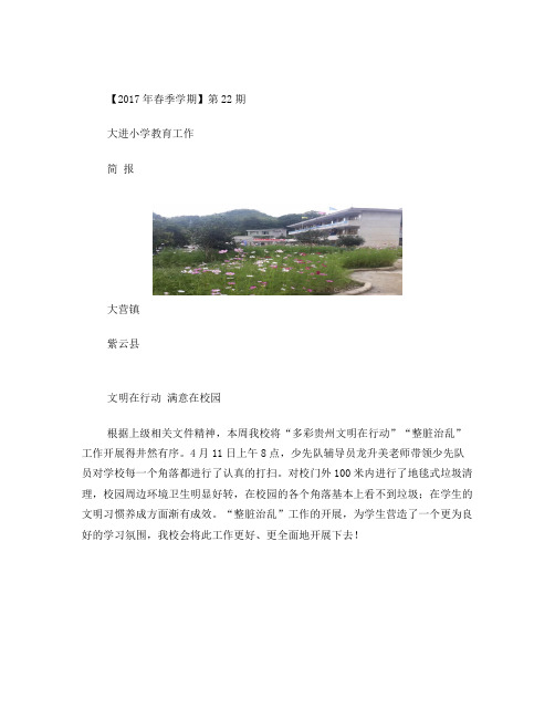 大进小学2017年春季学期整脏治乱工作简报