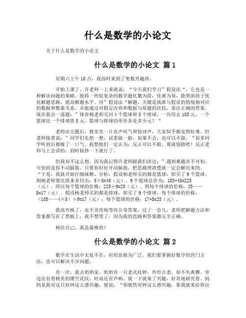 什么是数学的小论文