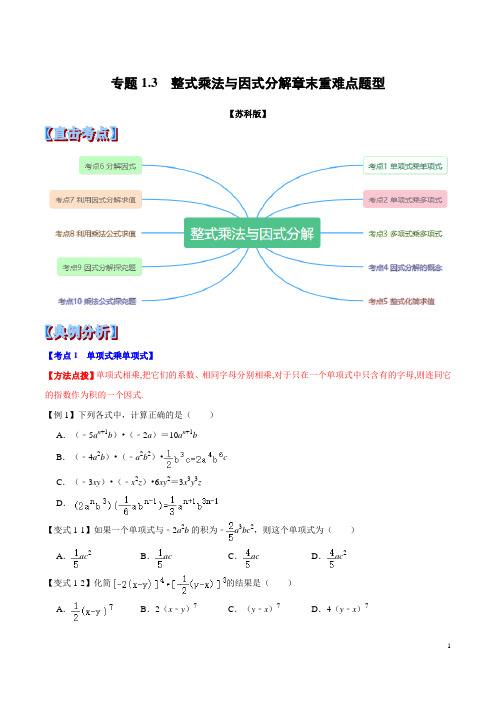 苏教版七年级数学第九章整式乘法与因式分解章末重难点题型