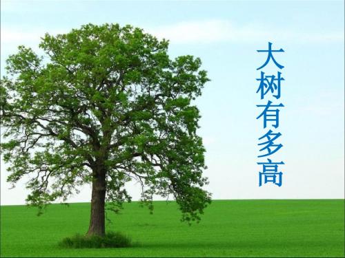 新苏教版小学数学六年级下册第6单元 正比例和反比例《综合与实践：大树有多高》优质课件