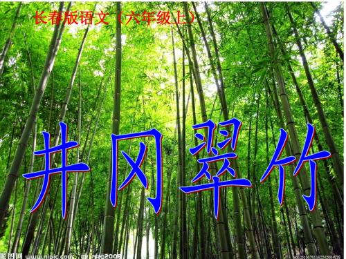 《井冈翠竹》