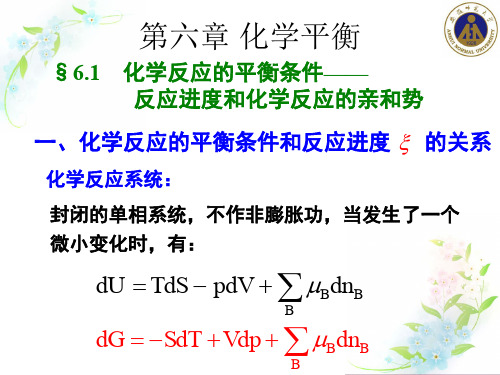 物理化学PPT化学平衡