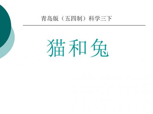 《猫和兔》PPT下载 (共27张PPT)