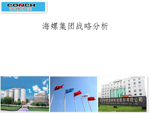 企业战略管理(海螺集团)ppt课件