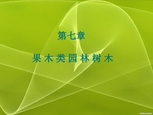 园林树木学课件——果木类园林树木