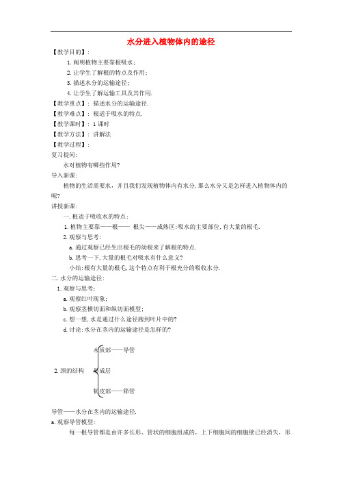 七年级生物上册 3.3.2 水分进入植物体内的途径教案3 (