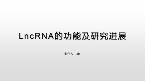 LncRNA的功能及研究进展