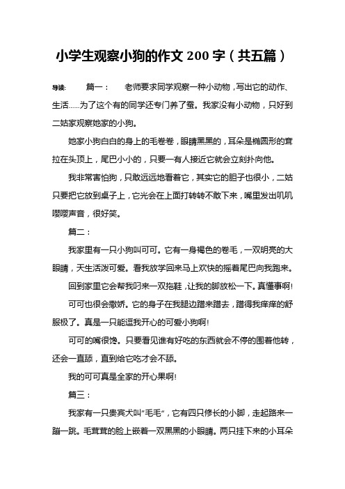 小学生观察小狗的作文200字(共五篇)