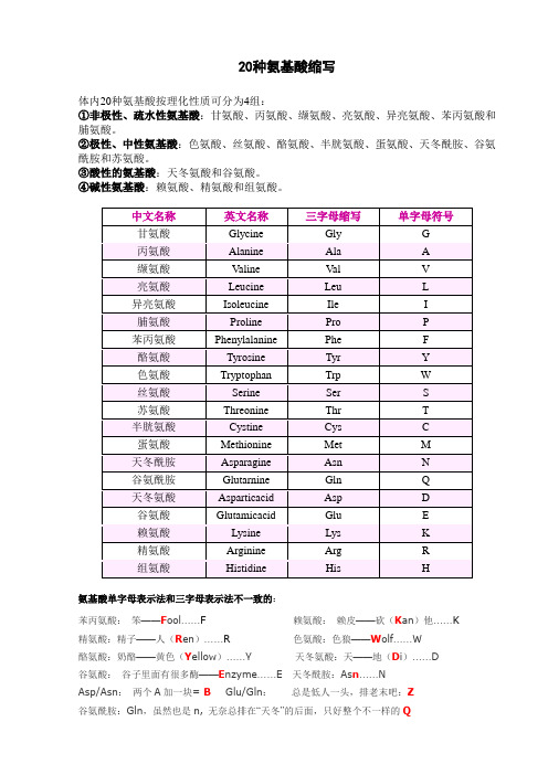 (完整版)20种氨基酸缩写