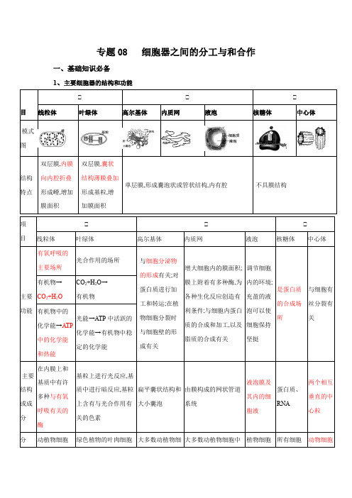 高中生物复习总结细胞器之间的分工与和合作