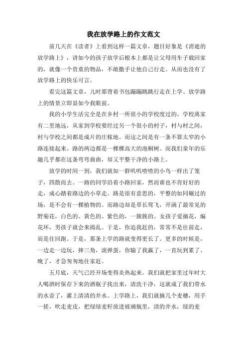 我在放学路上的作文范文