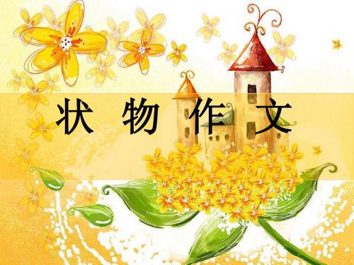状物类作文指导课件