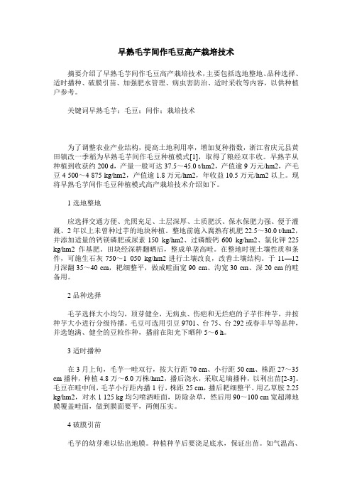 早熟毛芋间作毛豆高产栽培技术