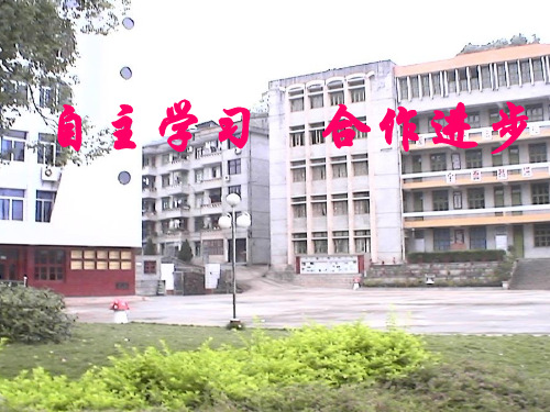 第五讲小组合作学习ppt