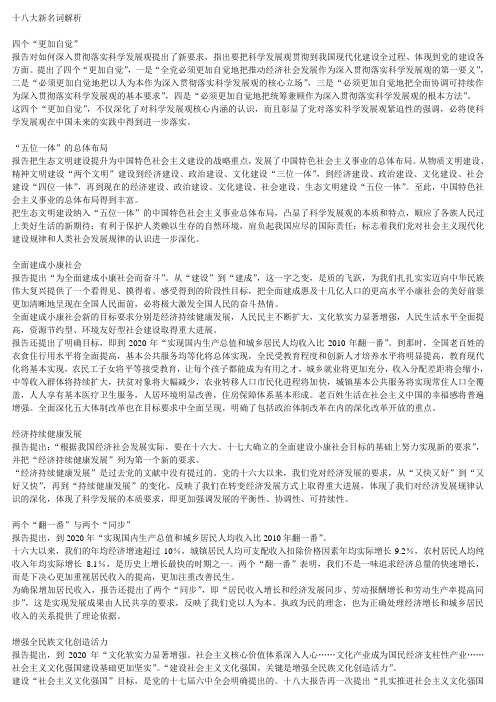 十八大新名词解析