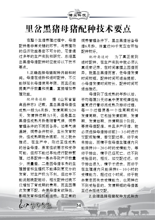 里岔黑猪母猪配种技术要点