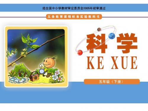 我们在成长