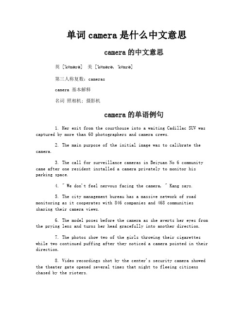 单词camera是什么中文意思