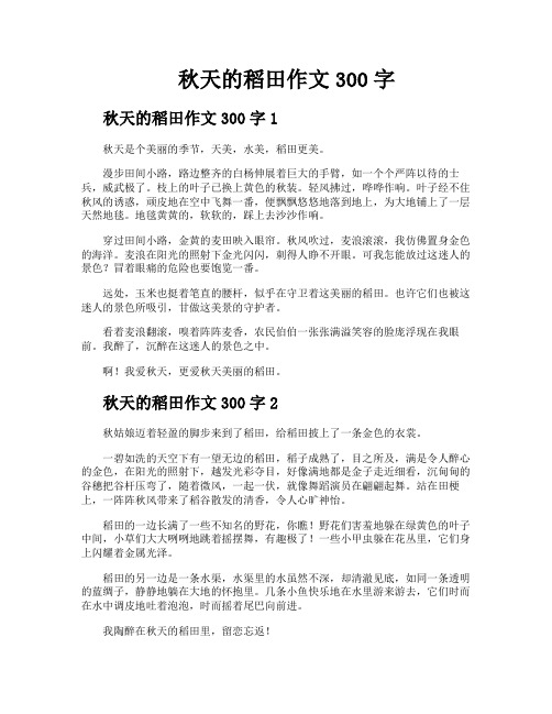 秋天的稻田作文300字