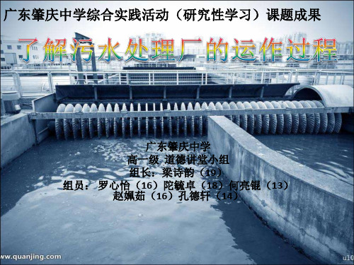 高中学生研究性学习成果展示(292)污水处理厂的运作过程