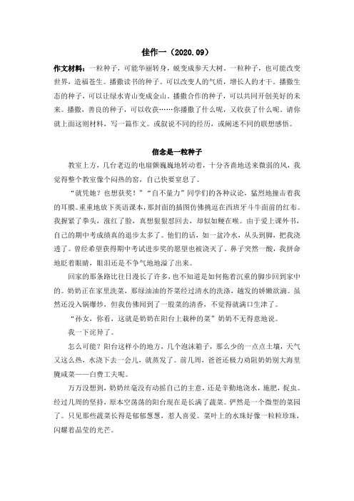 中学生获奖作文《信念是一粒种子》赏析
