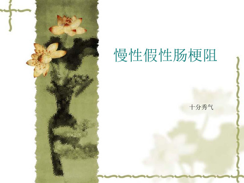 慢性假性肠梗阻