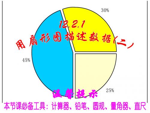 用扇形图描述数据(2)