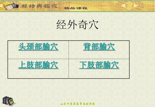 经络学-经外奇穴-PPT精选