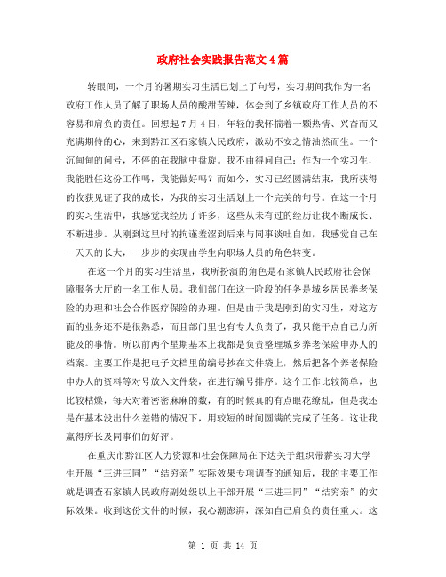 政府社会实践报告范文4篇