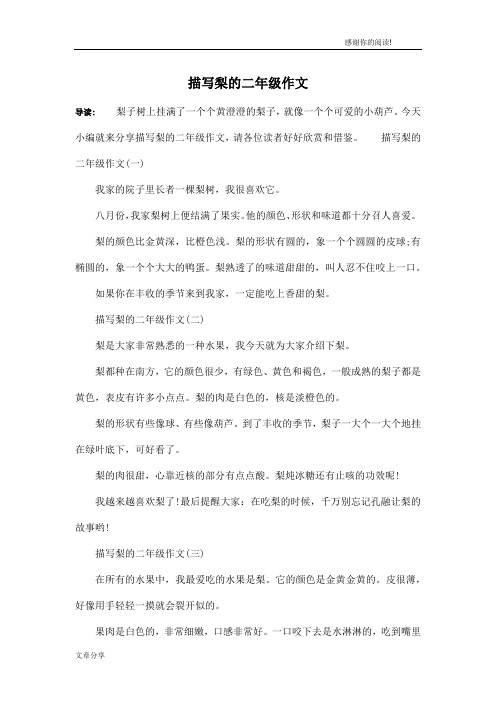 描写梨的二年级作文