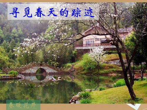 八年级语文下册 第二单元《综合性学习 写作 口语交际：寻觅春天的踪迹》课件1 人教新课标版
