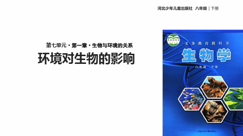 八年级下册生物课件 711环境对生物的影响冀少版